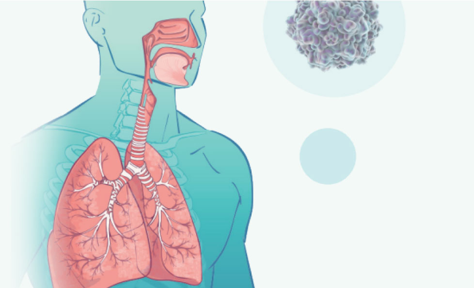 首页| 88858cc永利集团(Macau)官方网站