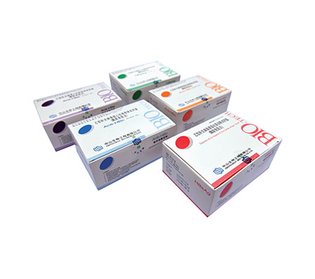 首页| 88858cc永利集团(Macau)官方网站